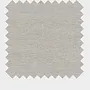 Light Grey Canna